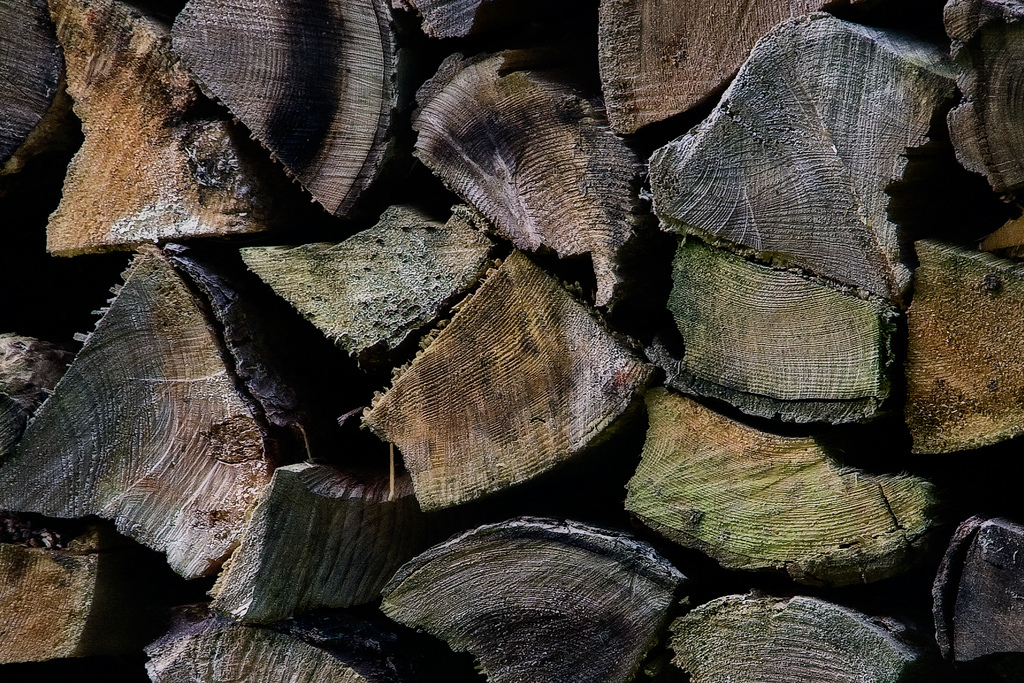 Green Firewood