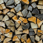 Burn Seasoned Firewood