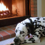fireplace safety pets