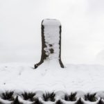Chimney vs Snow - Chimney Sweep Tips