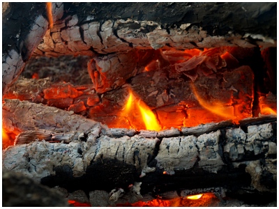 Burning Wood Responsibly