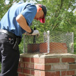 pest free chimney inspections in southing ct