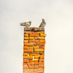 Damaged Chimney