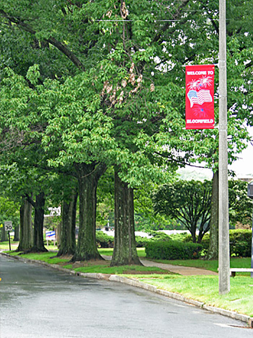 Chimney Service in Bloomfield CT