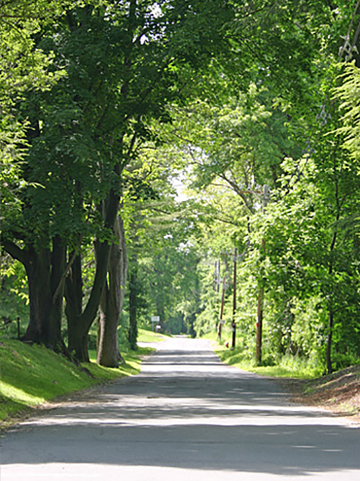 South Windsor CT Chimney Contractors