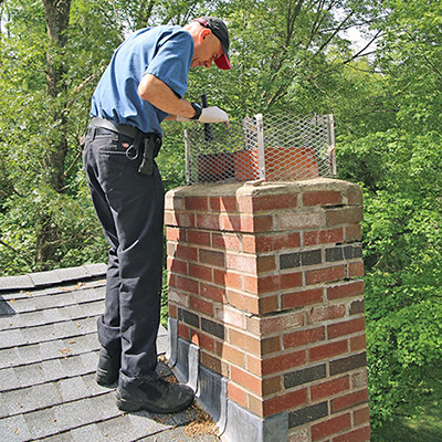 Professional Chimney Inspection