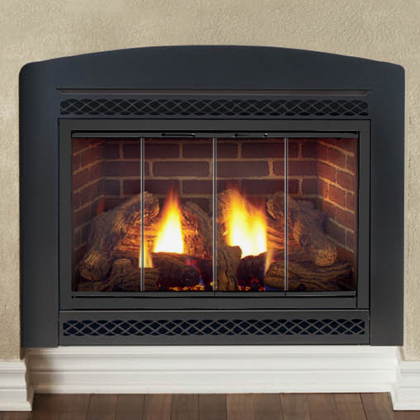 What Do I Need To Before Light Up, Gas Fireplace Insert Doors Open Or Closed