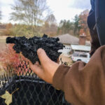 soot build up in your home