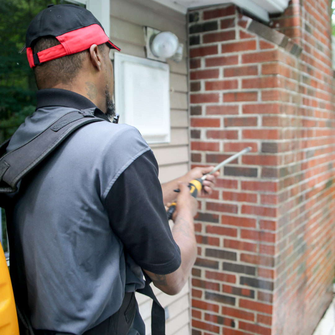 Chimney Repairs in Burlington, CT